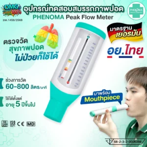 Peak Flow Meter