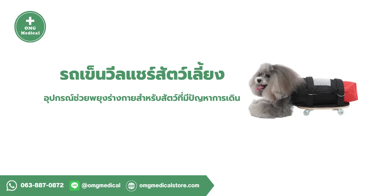 Pet Wheelchair รถเข็นวีลแชร์สัตว์เลี้ยง