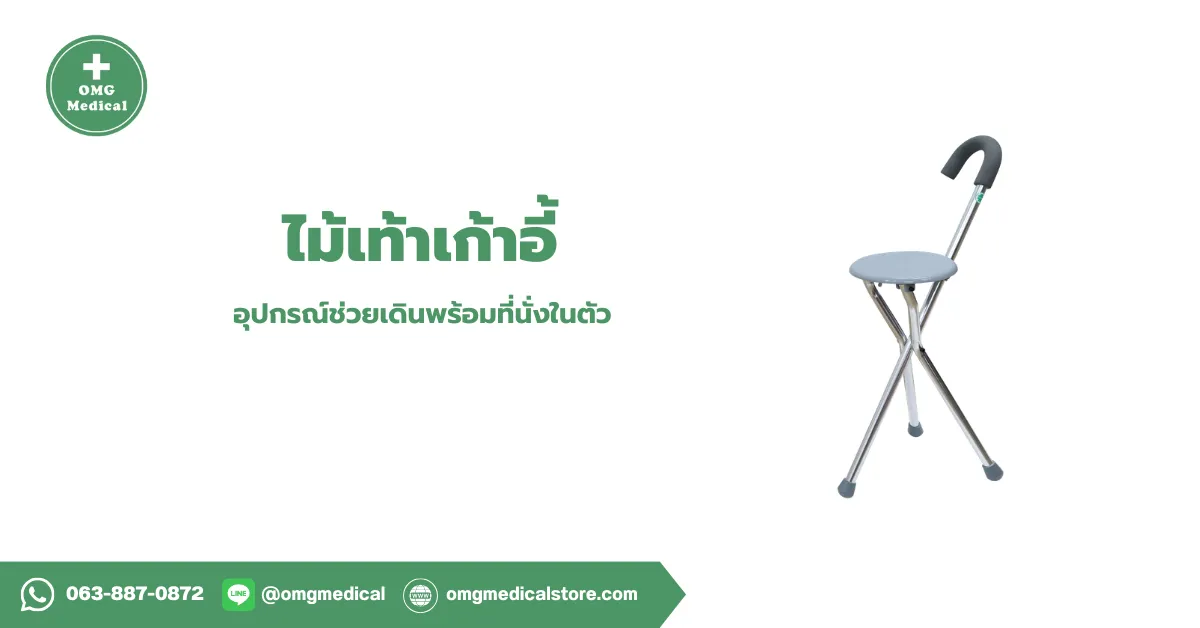 Folding Cane Chair ไม้เท้าเก้าอี้