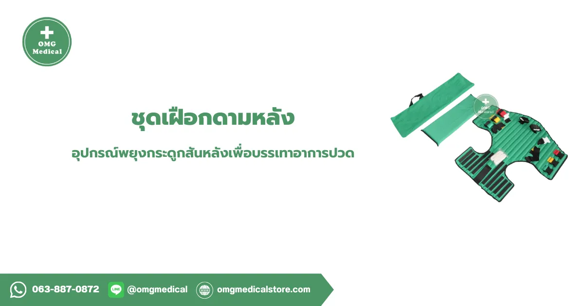 ชุดเฝือกดามหลัง