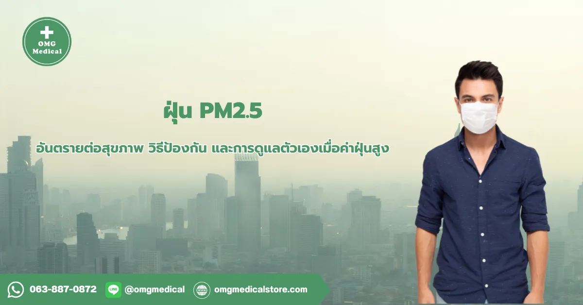 ฝุ่น PM