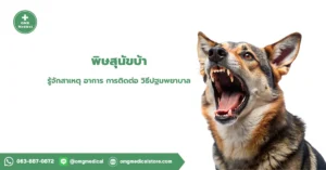 พิษสุนัขบ้า