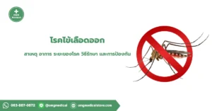 โรคไข้เลือดออก