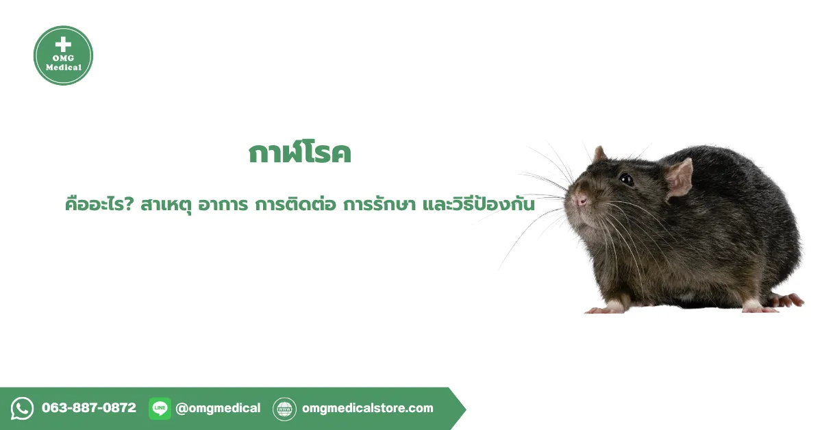 กาฬโรค