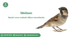 ไข้หวัดนก